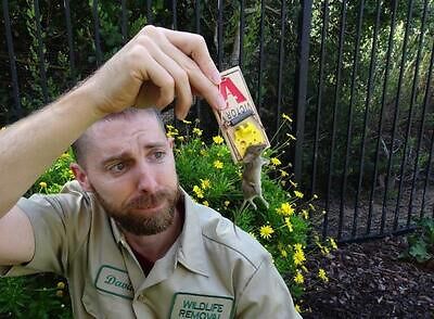 Virginia Beach rodent trapping